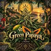 SSSC@GreenPapaya