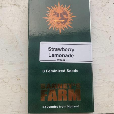 R13: Straw Lemon
