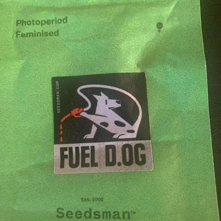 R12: Fuel DOG