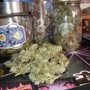 Ghost Train Haze Auto