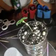 Ghost Train Haze Auto