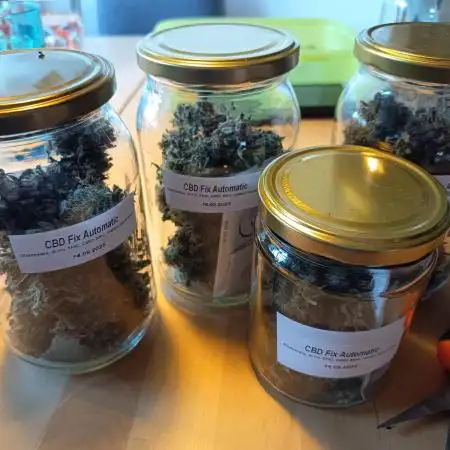 CBD Fix Auto - im Regal