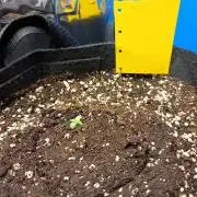 Blue Bullet Auto im Regal