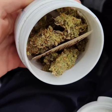 Gorilla Zkittlez Fast Flower