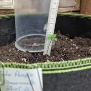 Outdoor Grow 2026