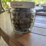 Auto Gorilla Glue #4 - Indoor Grow