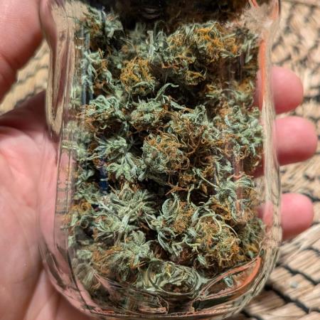 Gorillaz Auto, FAT Beans