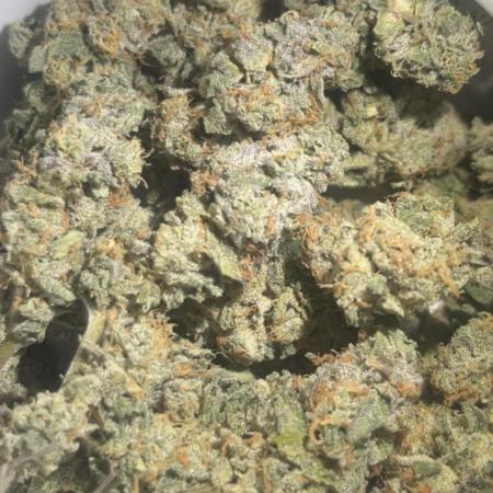Freizas Laser #66 Harvest Report