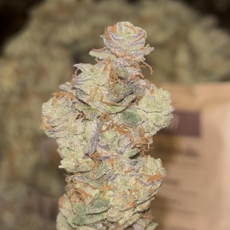 Clones- Friezas Laser #66,GlitterBomb,WW