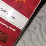 Barneys Farm - GMO Auto