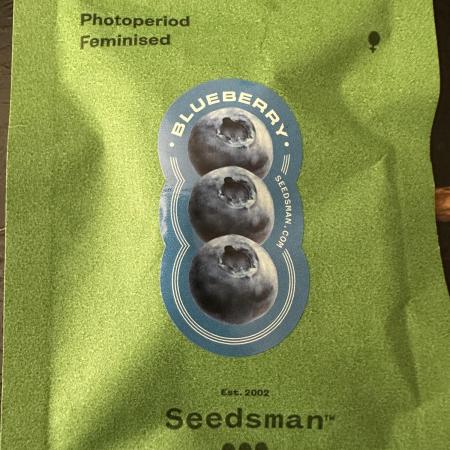Grow #4 - Blueberry