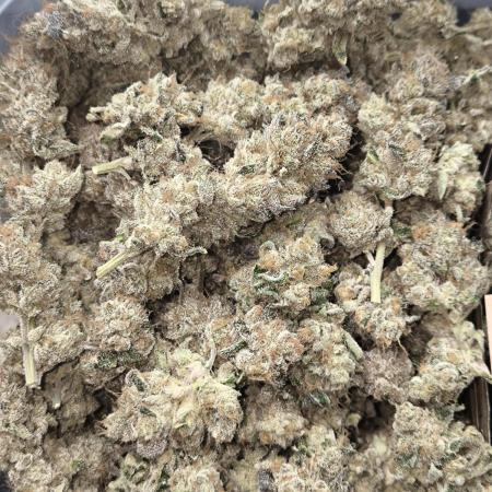 Lemon Cherry Gelato, Jealousy