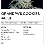 Ethos genetics 419 grow 2