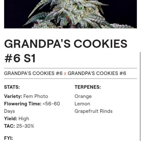 Ethos genetics 419 grow 2