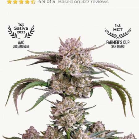 Fast buds grow promo( 419budz)