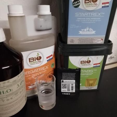 Amnesia Skittelz Fast Buds