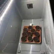 Phenohunt Raw Gen & Grounded Gen