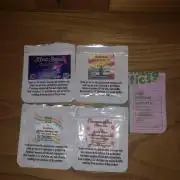 Phenohunt Raw Gen & Grounded Gen