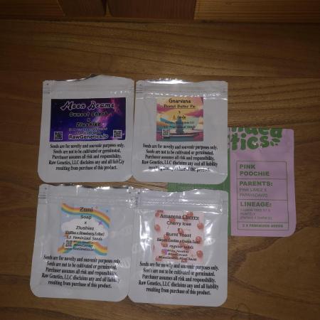 Phenohunt Raw Gen & Grounded Gen