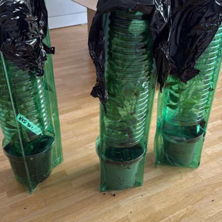 Jokerz31&Weeding Cake by Growisland.at