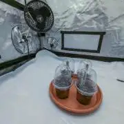 4 Plants 3x3 Tent | 4 Plants 4 Strains [AlienZ, Tropicanna Cookies, Slurricane, Kongs Krush]
