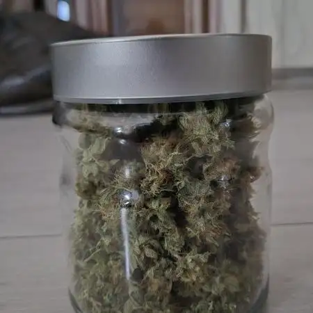 White Widow Organic