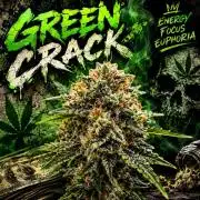 Green Crack Feminized