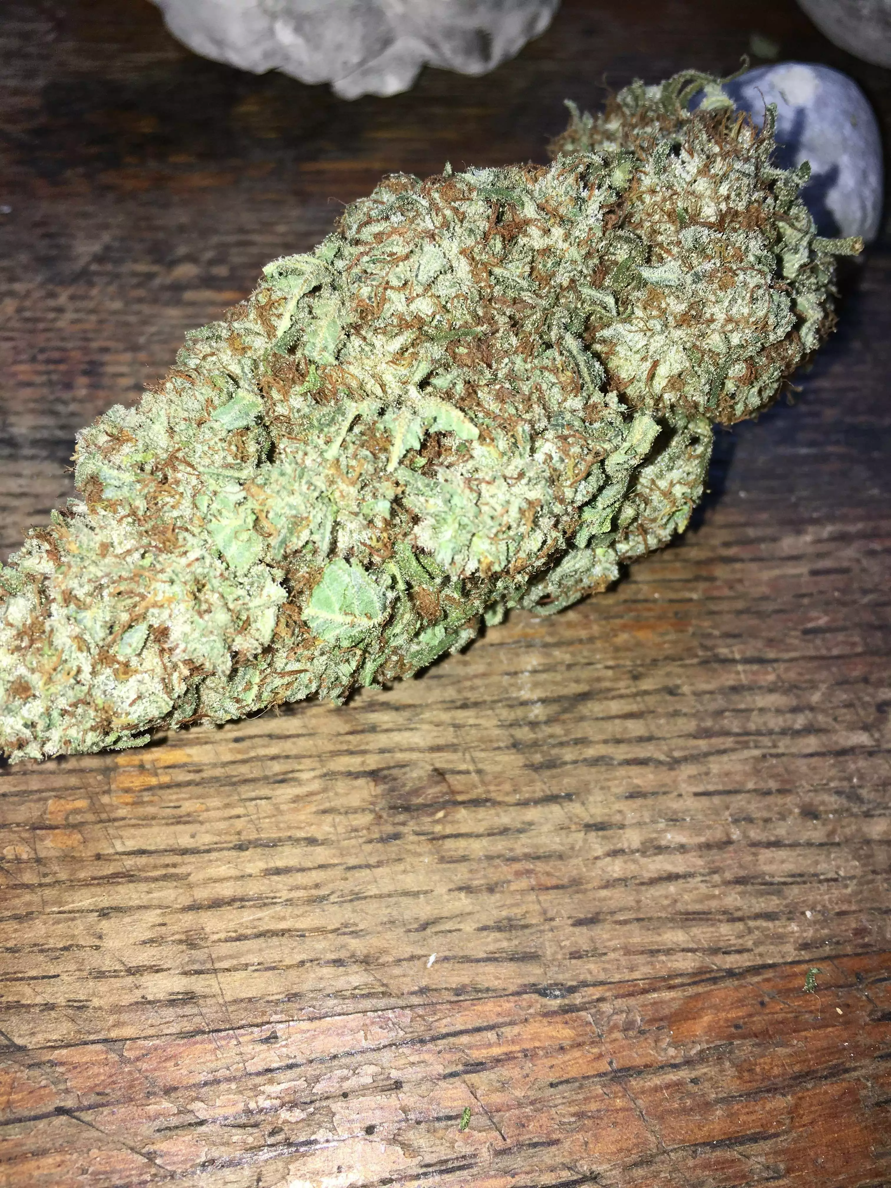 Monster Bud Mix / Zamnesia nutrient info - GrowDiaries