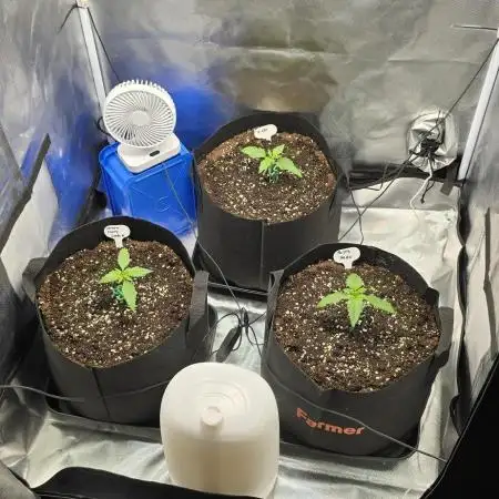 Auto Test FastBuds42 sponsored