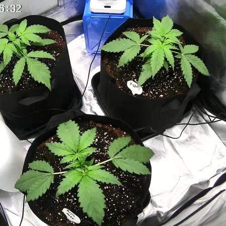 Auto Test FastBuds42 sponsored
