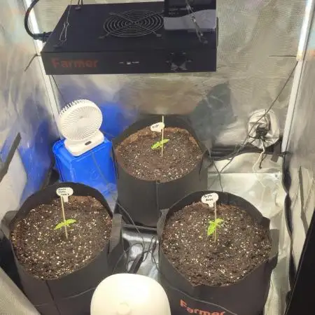 Auto Test FastBuds42 sponsored
