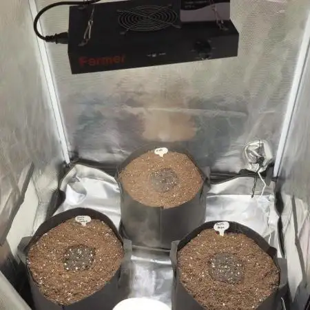 Auto Test FastBuds42 sponsored