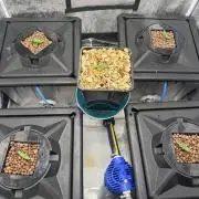 Papaya Cookies Auto | RDWC