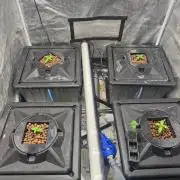 Juice Pack / Melt Mode | RDWC
