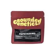 Who let the Dawgs out?