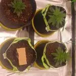 Nuovo diario 2025/2026