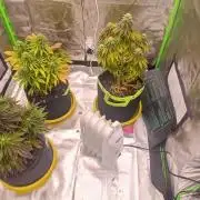 Nuovo diario 2025/2026