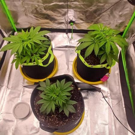 Nuovo diario 2025/2026