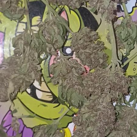 Banana purple punch