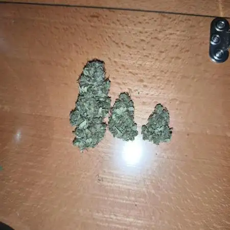 Clone di Bubble gum