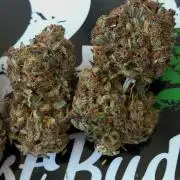 Gorilla Punch