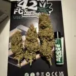 Apple Strudel Auto - Fastbuds