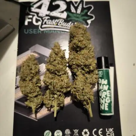 Apple Strudel Auto - Fastbuds