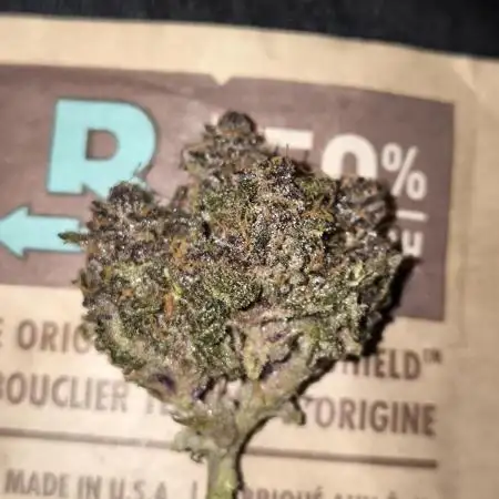 Lemon Cherry Cookies Auto - Fast Buds