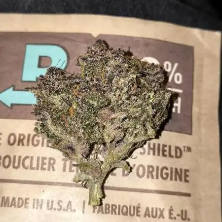 Lemon Cherry Cookies Auto - Fast Buds