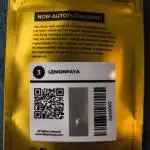 Lemonpaya - FastBuds