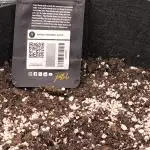 Apple Strudel Auto - Fastbuds