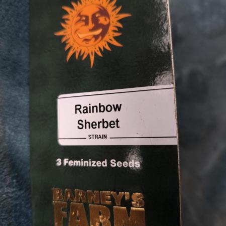 Rainbow Sherbet - Barney's Farm