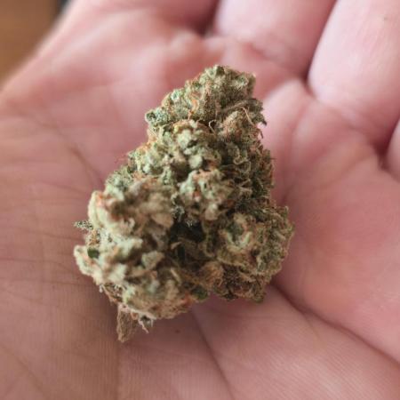 Gazzurple athena growstream