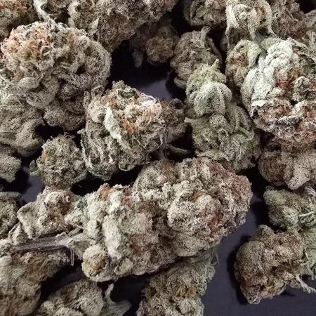 Gelato clones